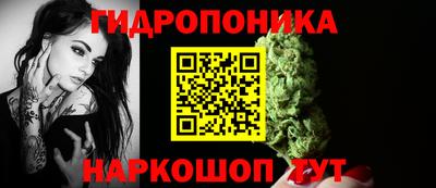 сатива Кунгур