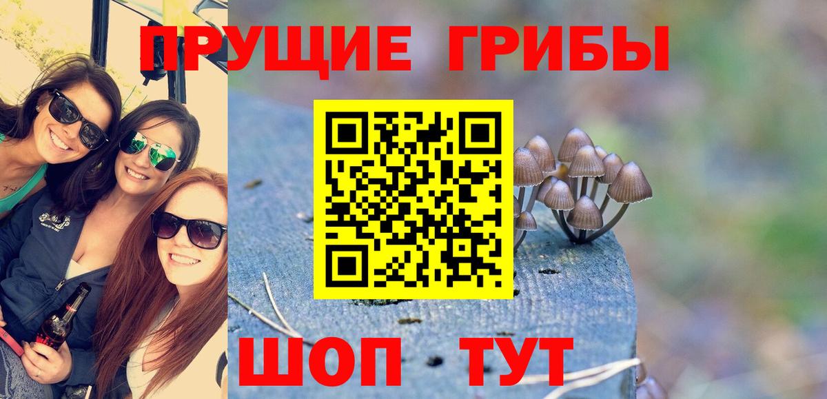 Псилоцибиновые грибы Psilocybine cubensis  Псилоцибиновые грибы Psilocybe  Всеволожск  Вход с VPN 